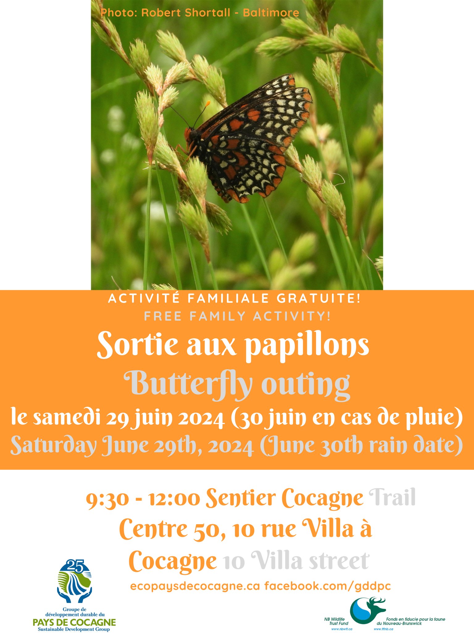 Sortie aux papillons